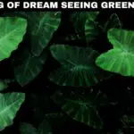 Unlock the Spiritual Meaning of Dreaming about Green Plants