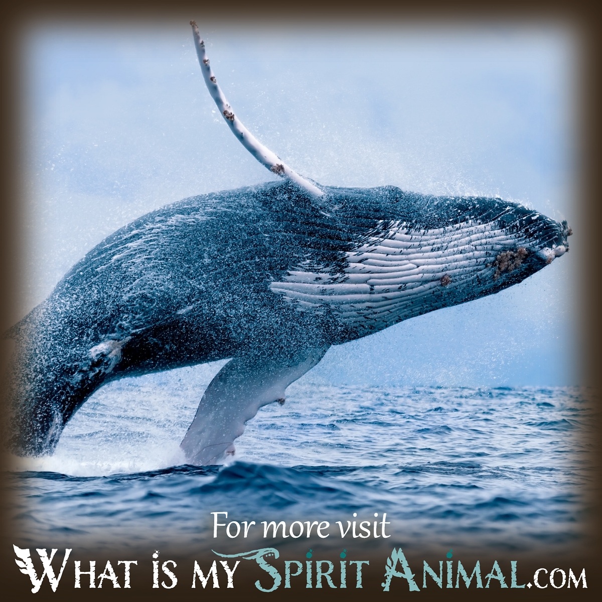 Mythological Context Of Whale Dreams