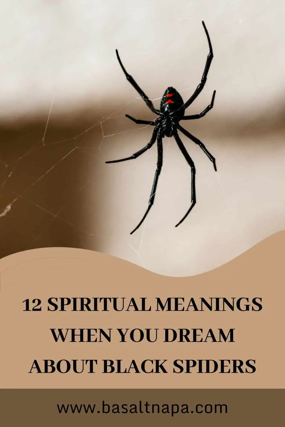 Other Factors Influencing Spider Bite Dreams