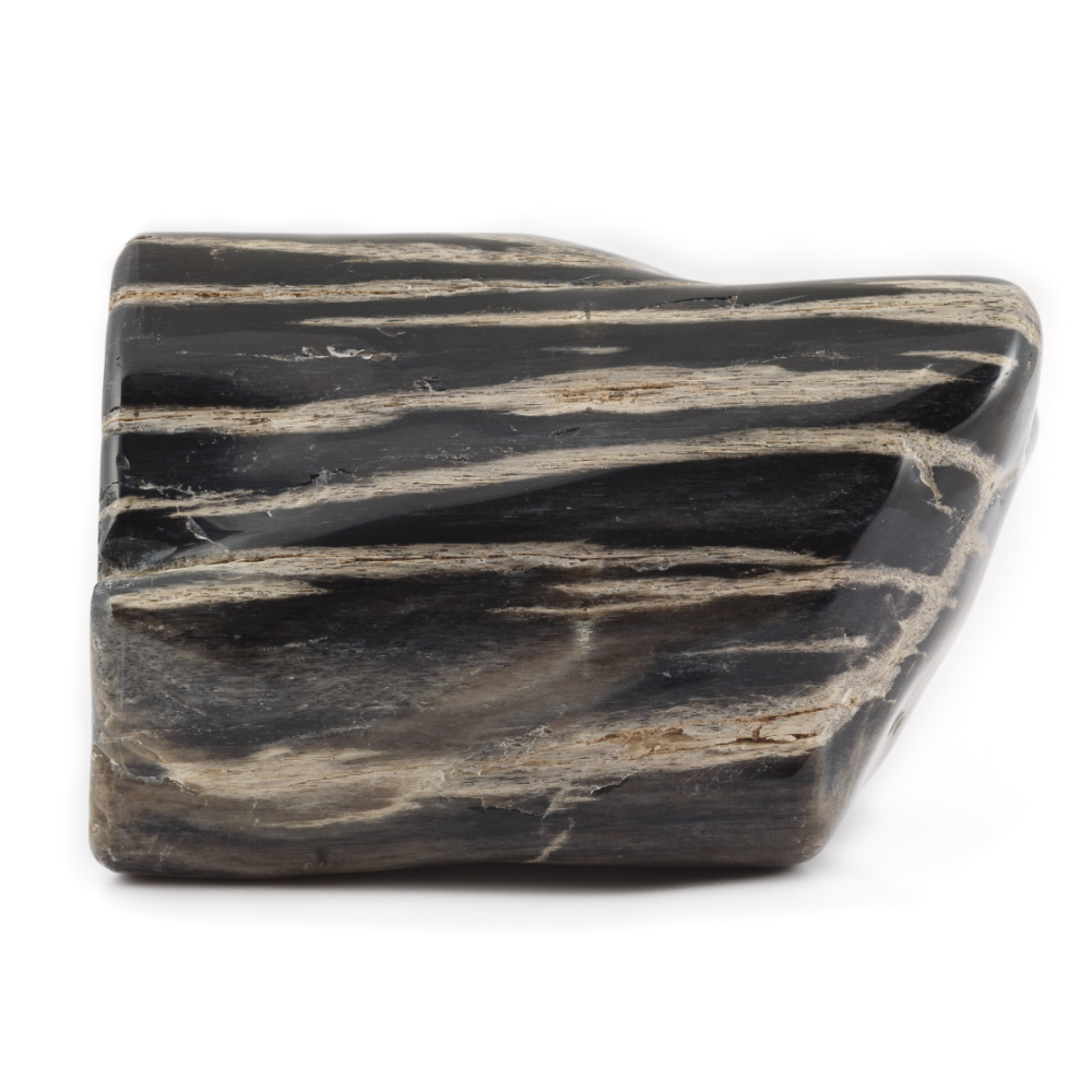 Petrified Wood In Ancient Beliefs