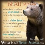 Unlock the Spiritual Meaning of Your Dreams: What Does a Bear Mean?