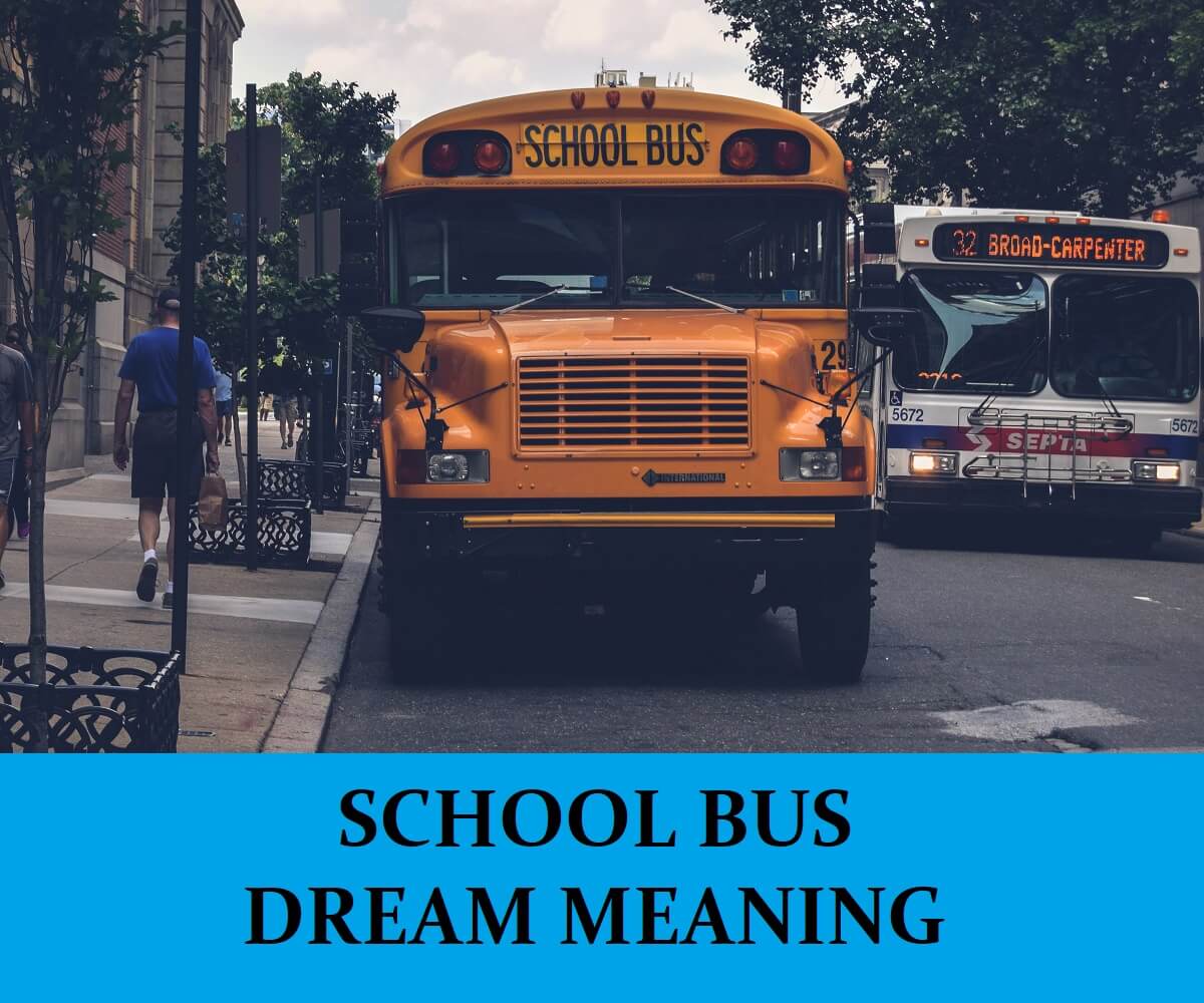 Positive Interpretations Of School Bus Dreams