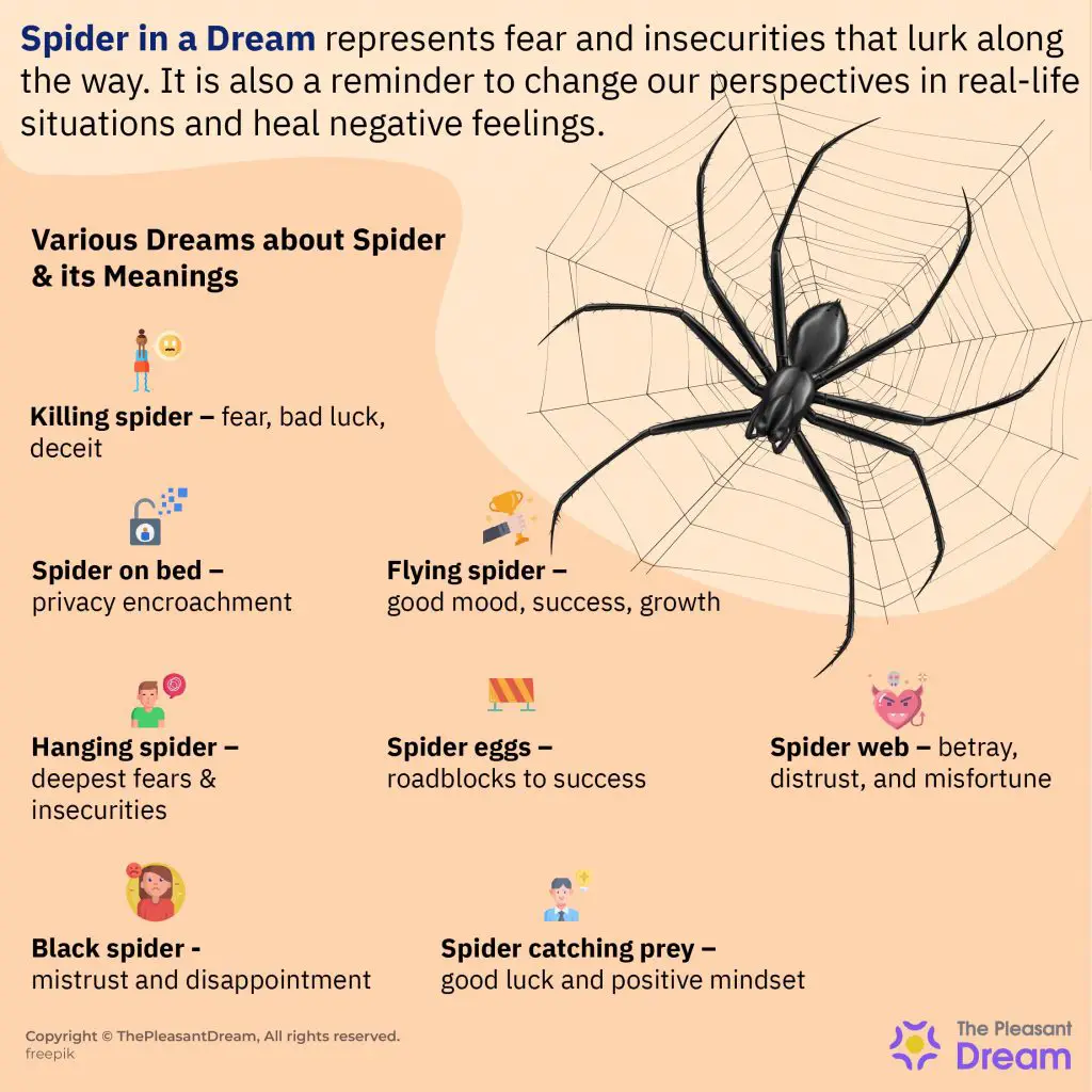 Psychological Interpretation Of Spider Bite Dreams