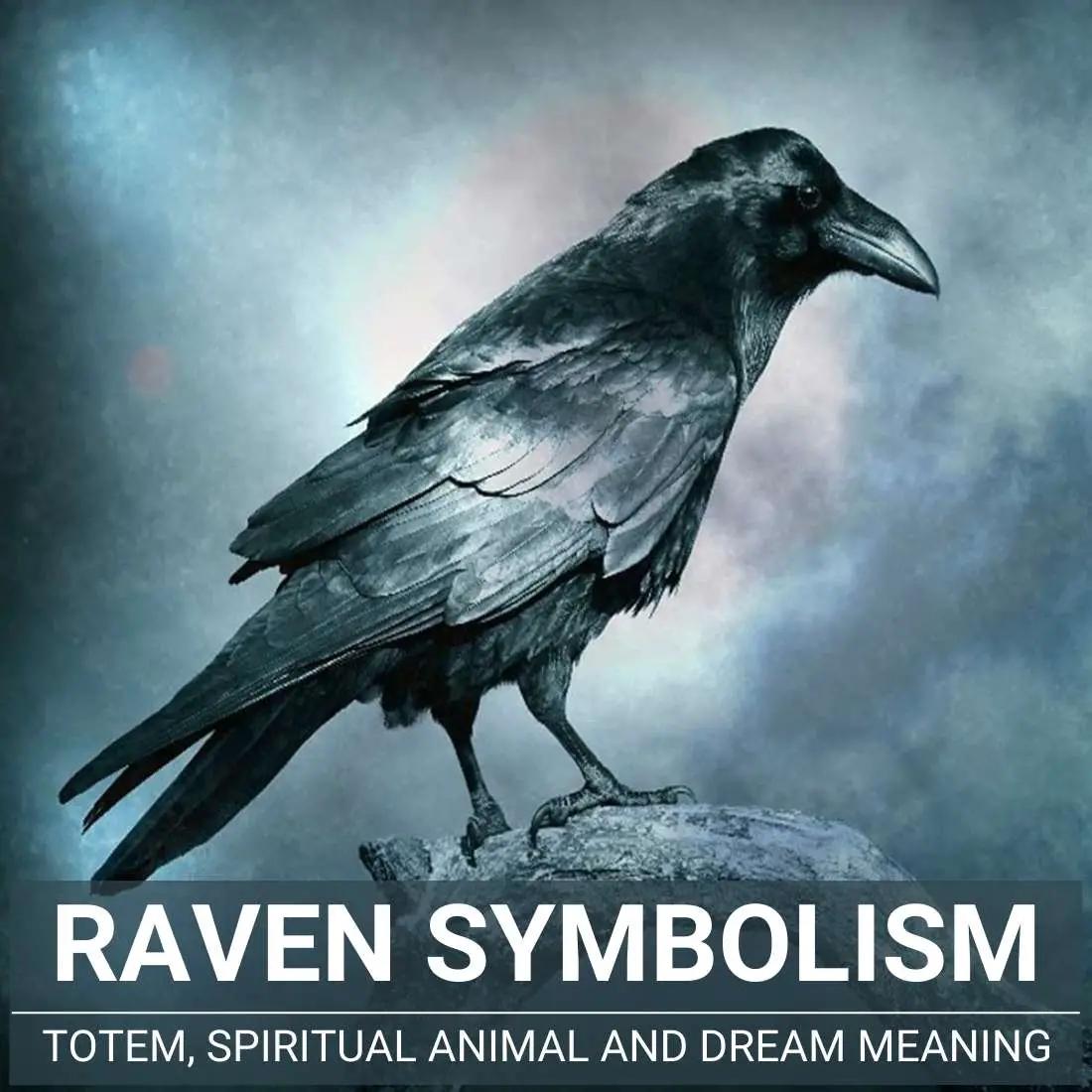 Representation Of Ravens In Art