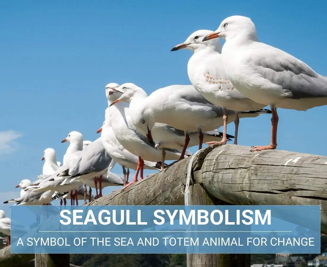 Seagulls In Literature