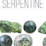 serpentine1635