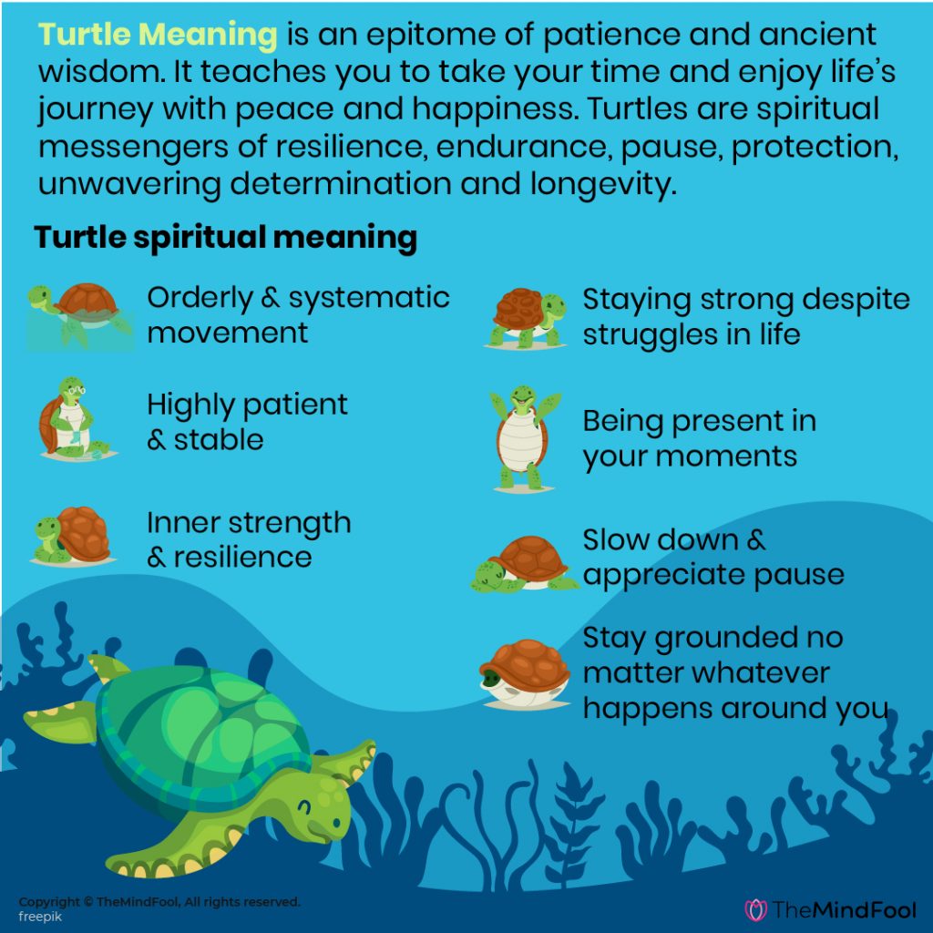 Snapping Turtle Dream Meaning