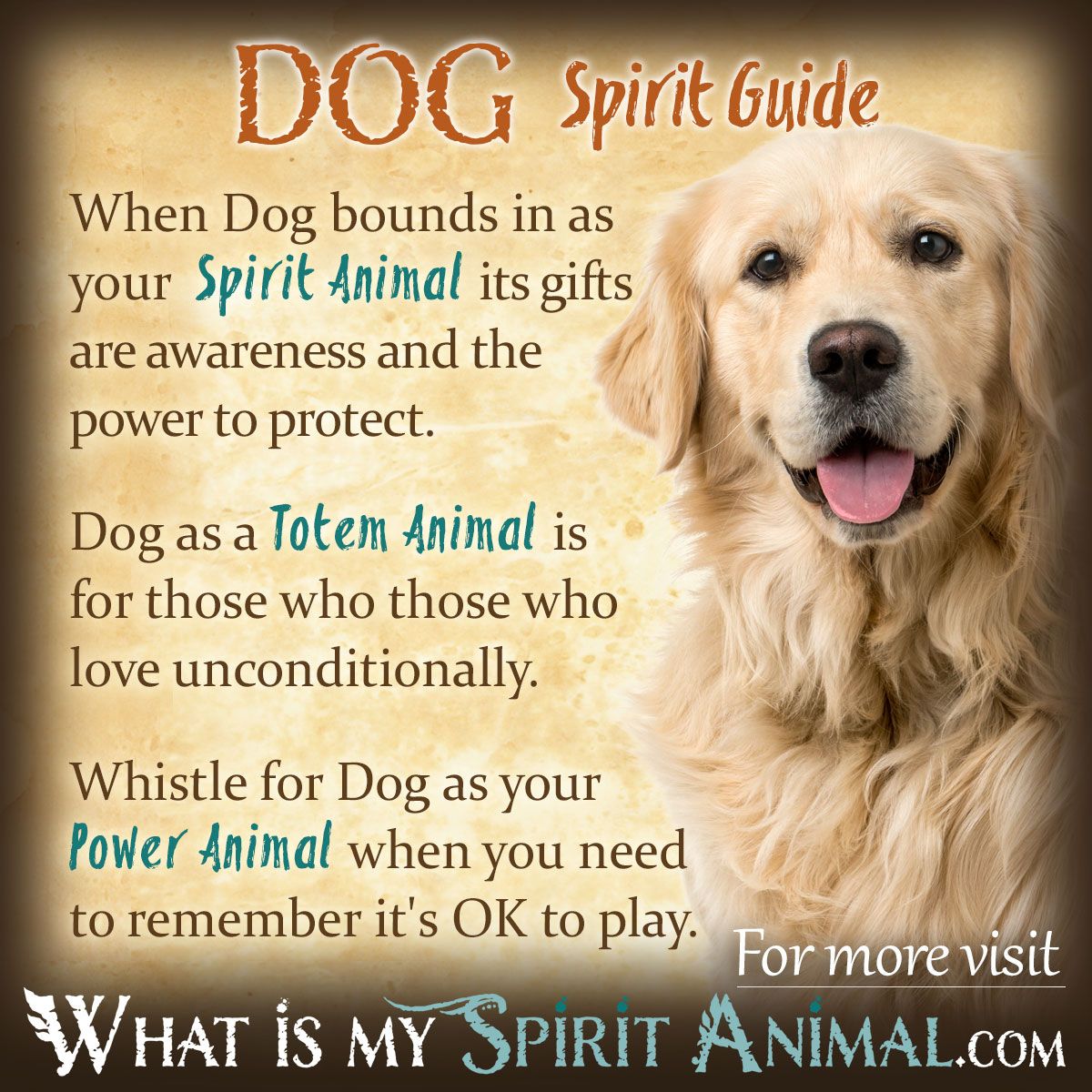 Spiritual Meaning Of Dreams Of Dying Dogs
