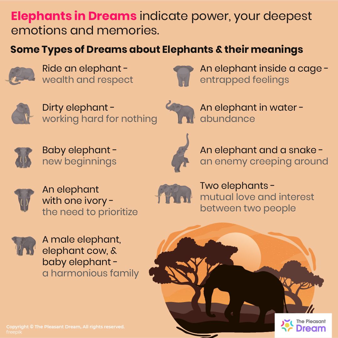 Spiritual Meaning Of Elephants In Dreams