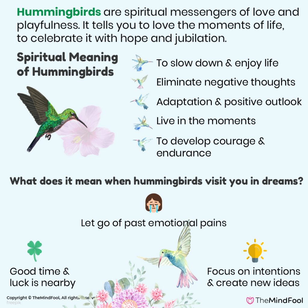 Spiritual Meaning Of Hummingbird