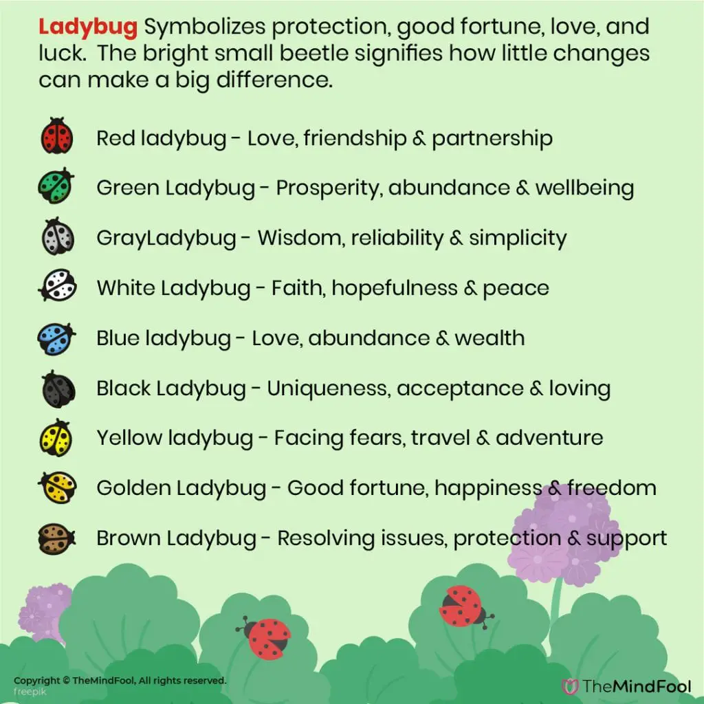 Spiritual Meaning Of Ladybugs