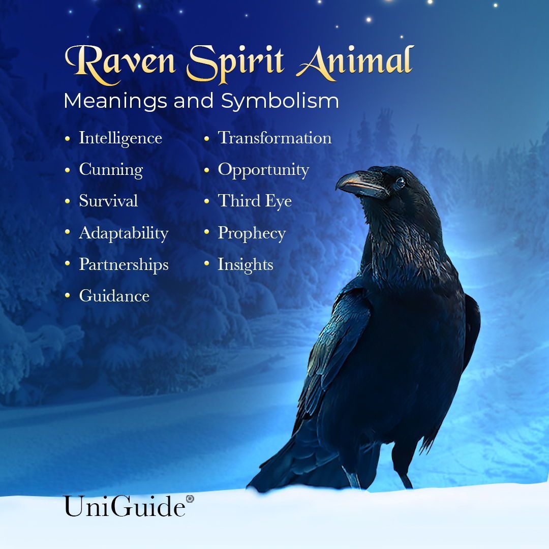 Spiritual Meaning Of Ravens