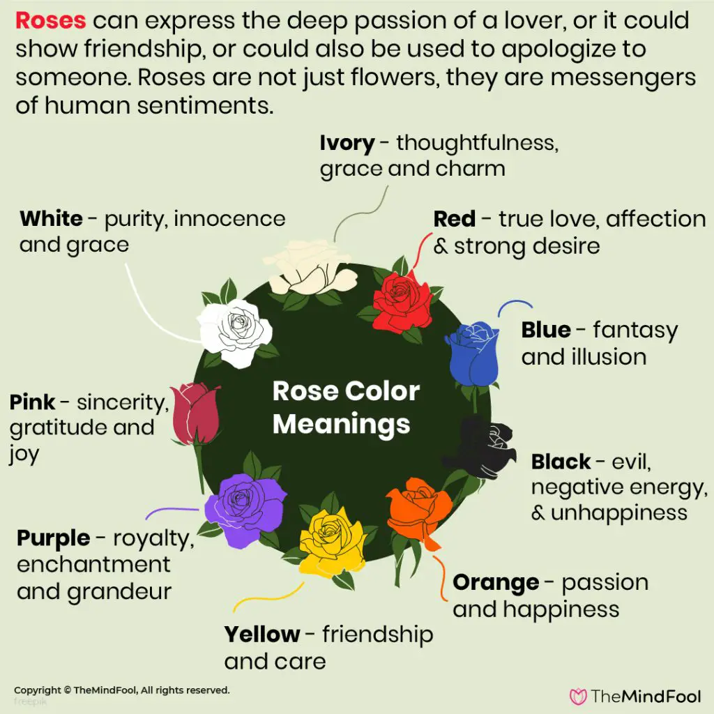 Spiritual Meaning Of Rose Colors