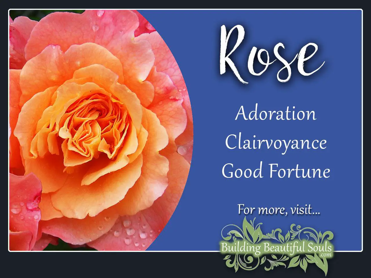 Spiritual Meaning Of Roses In Dreams
