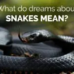 Unlock the Spiritual Meaning of Snakes in Dreams with Dreams Meaning and Spiritual Meaning