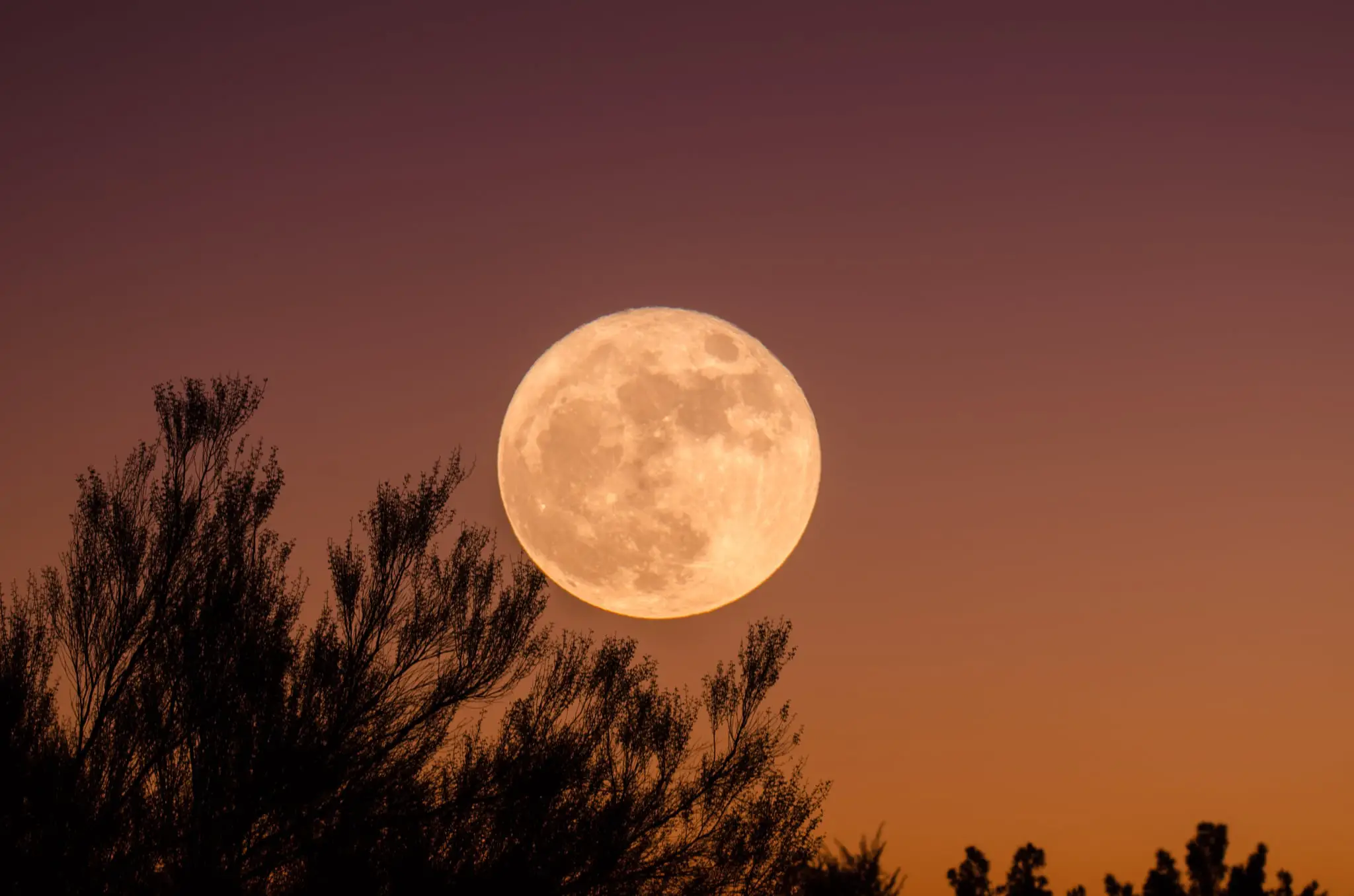  Spiritual Meaning Of The Full Moon In January 2023 