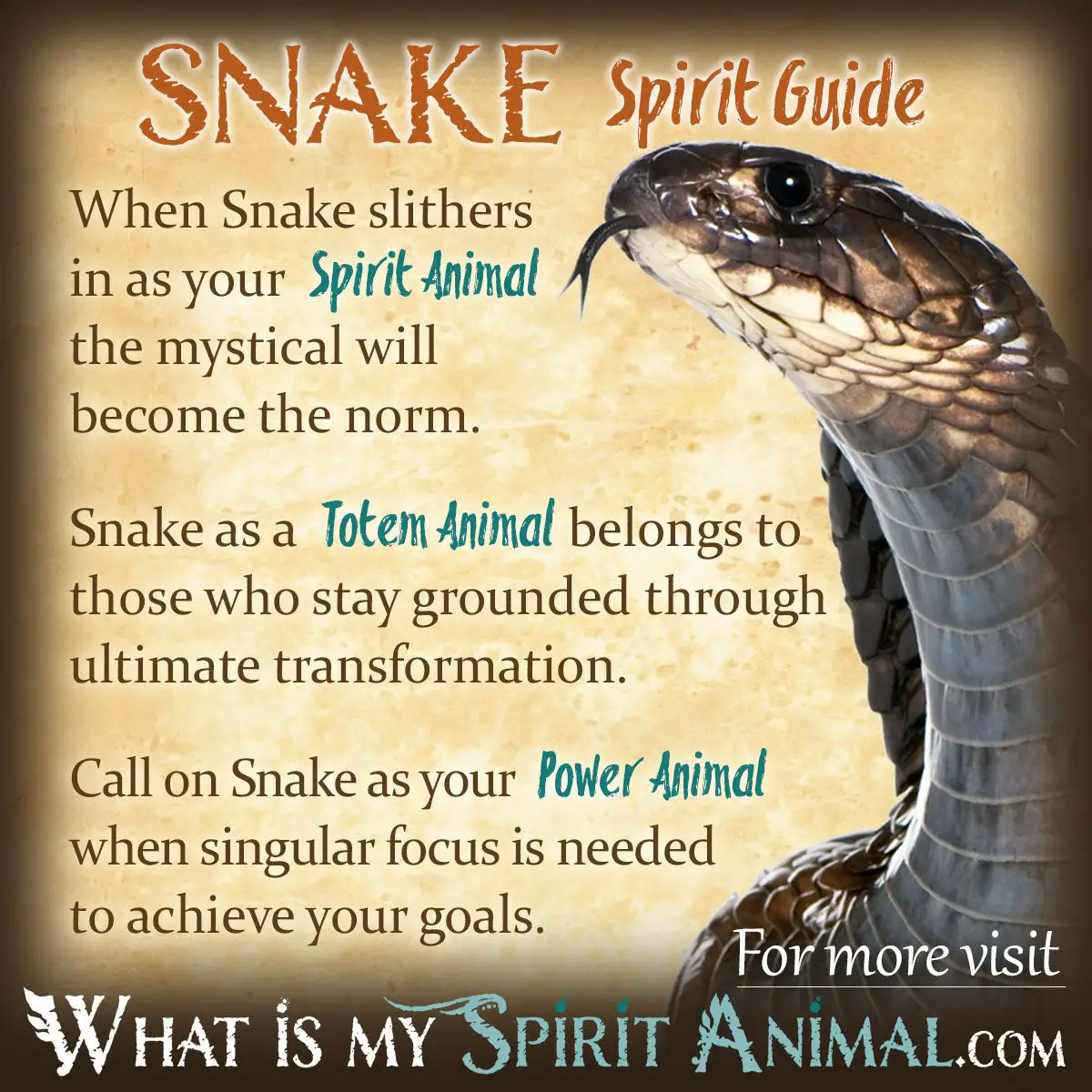 Spiritual Meaning Of The Rattlesnake