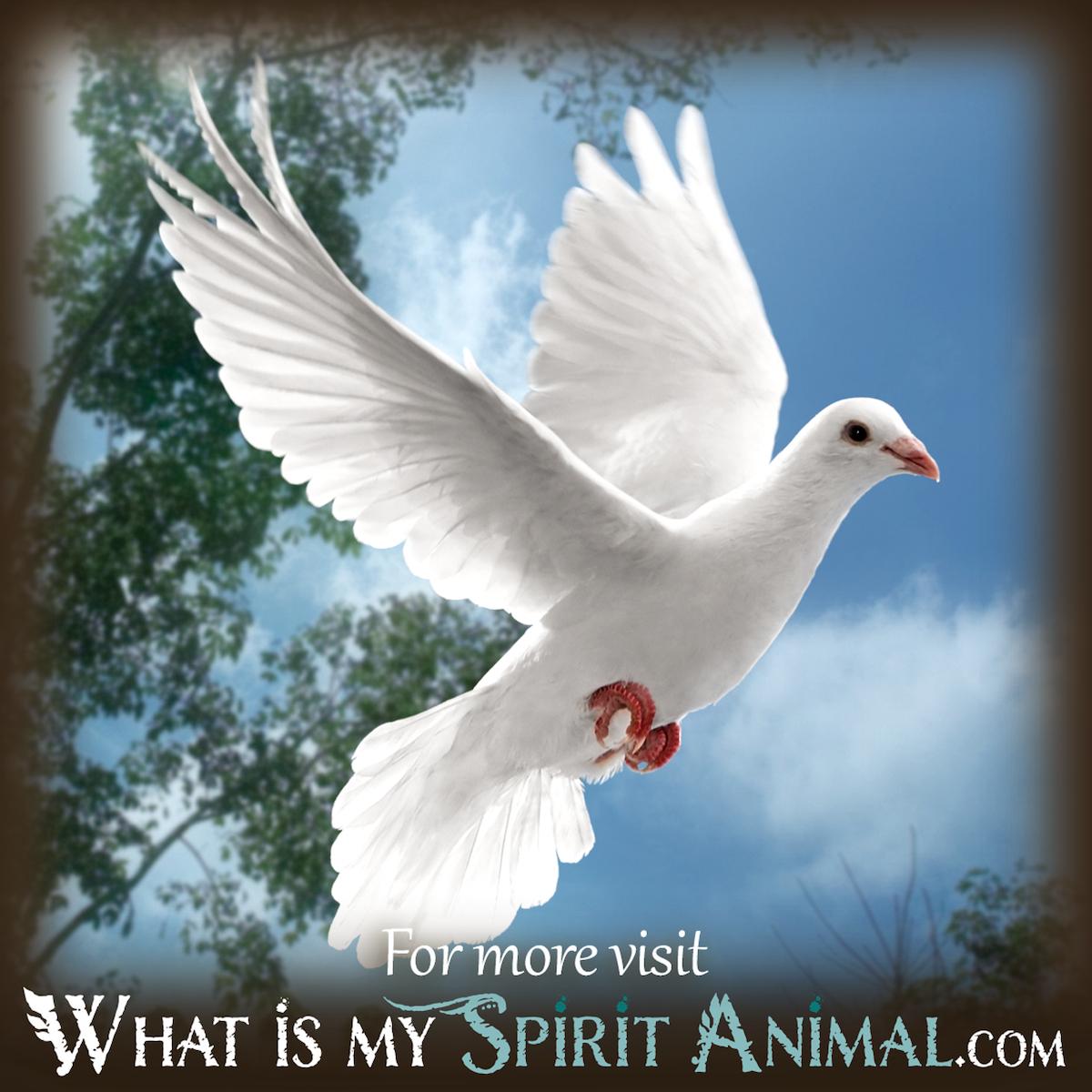 Symbolic Meaning Of Dream Of White Bird
