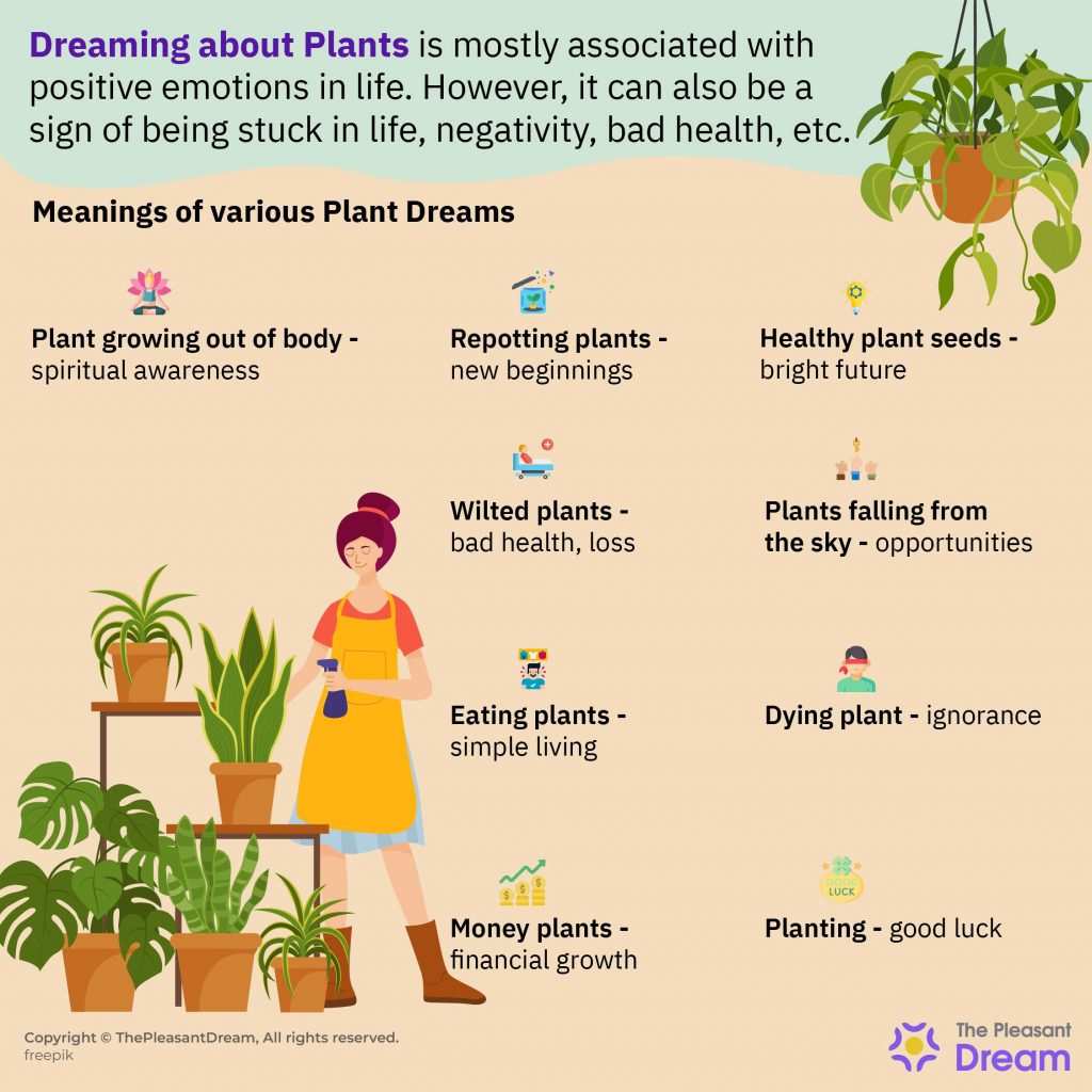 Symbolic Meaning Of Plants