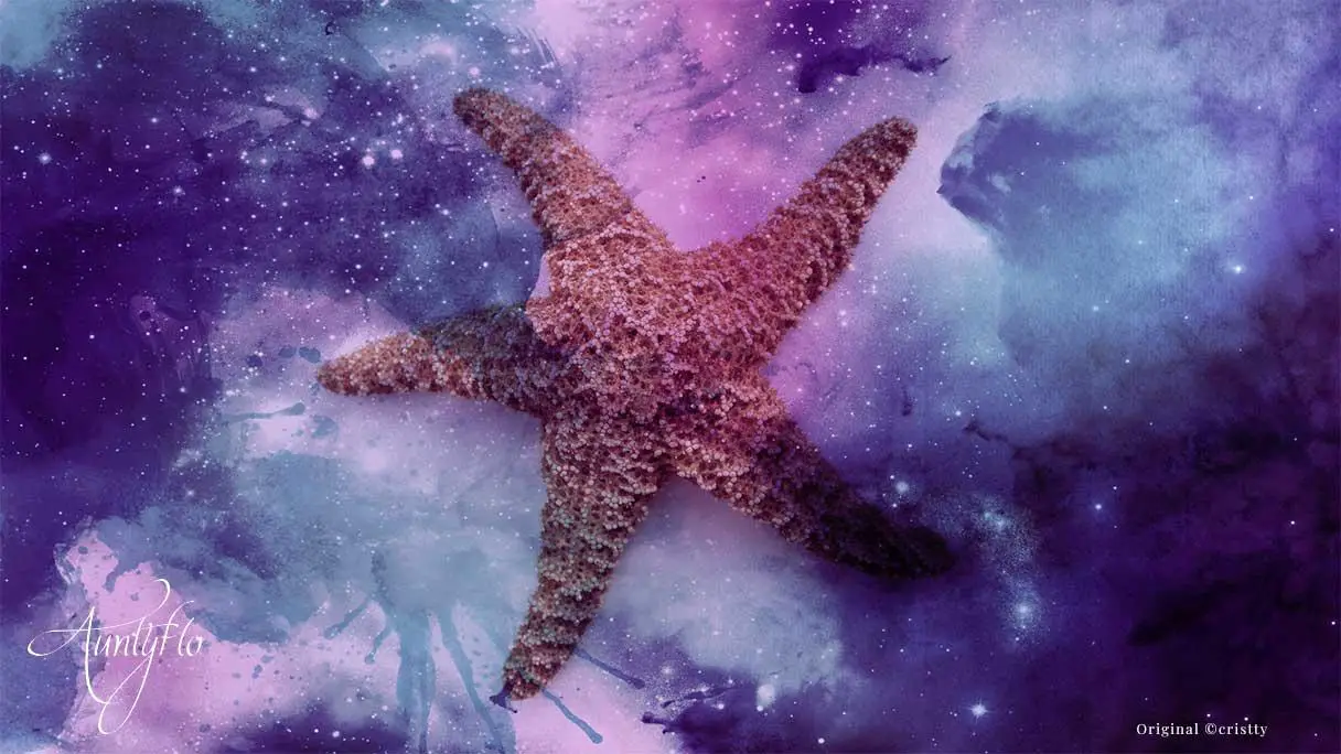 Symbolism Of Starfish In Dreams