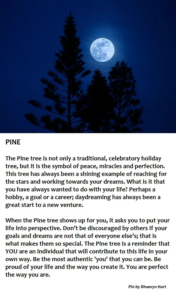 Symbolism Of The Pine Tree