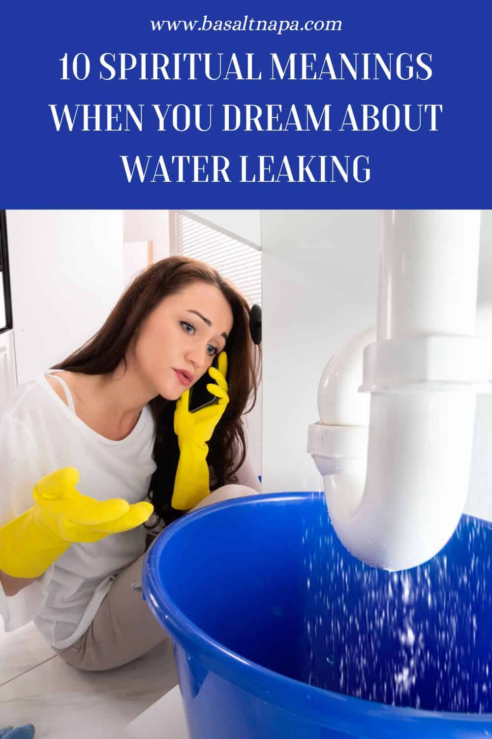 Symbolism Of Water Leaking In House Dreams
