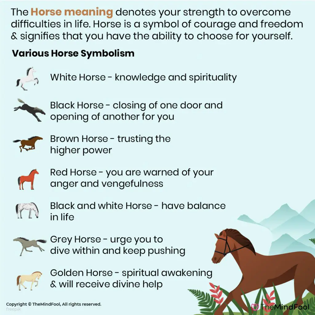 Symbology Of The Brown Horse