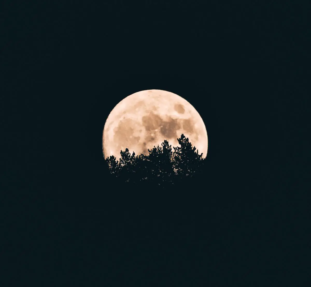 The Waxing Crescent Moon And Abundance