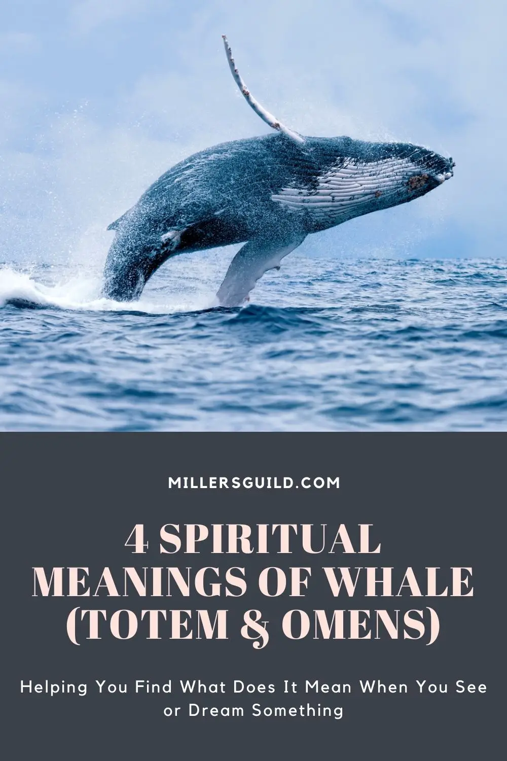 Tips For Interpreting Whale Dreams