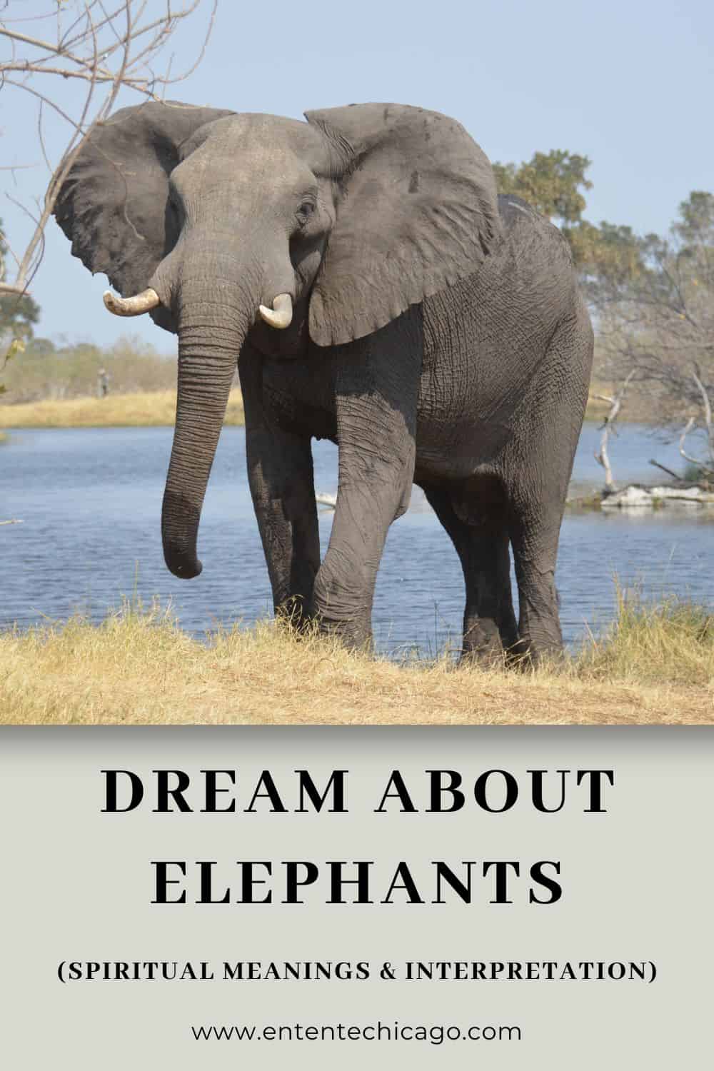 Tips To Interpret Elephant Dreams