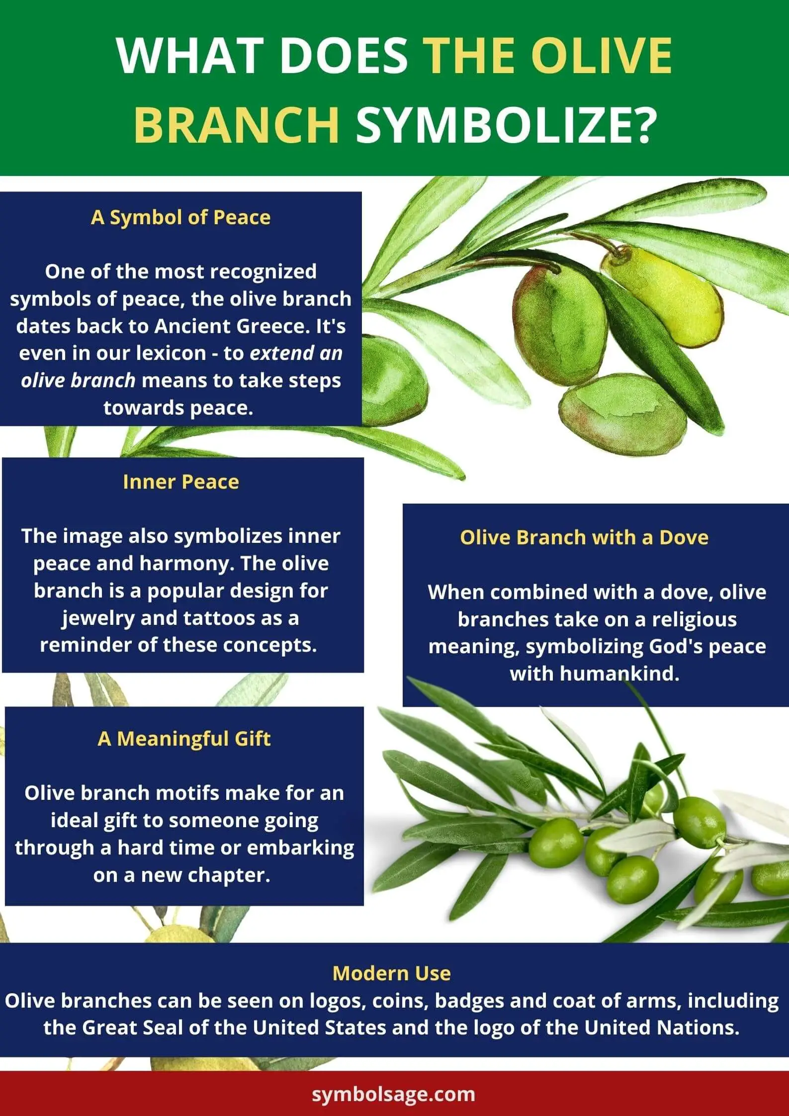 Types Of Olive Leaves