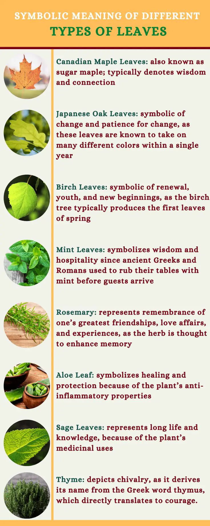 Types Of Sage