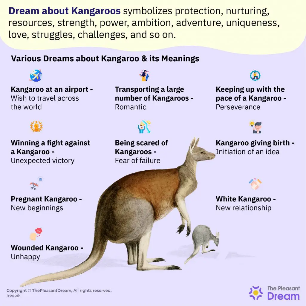 What Does A Kangaroo Dream Symbolize?