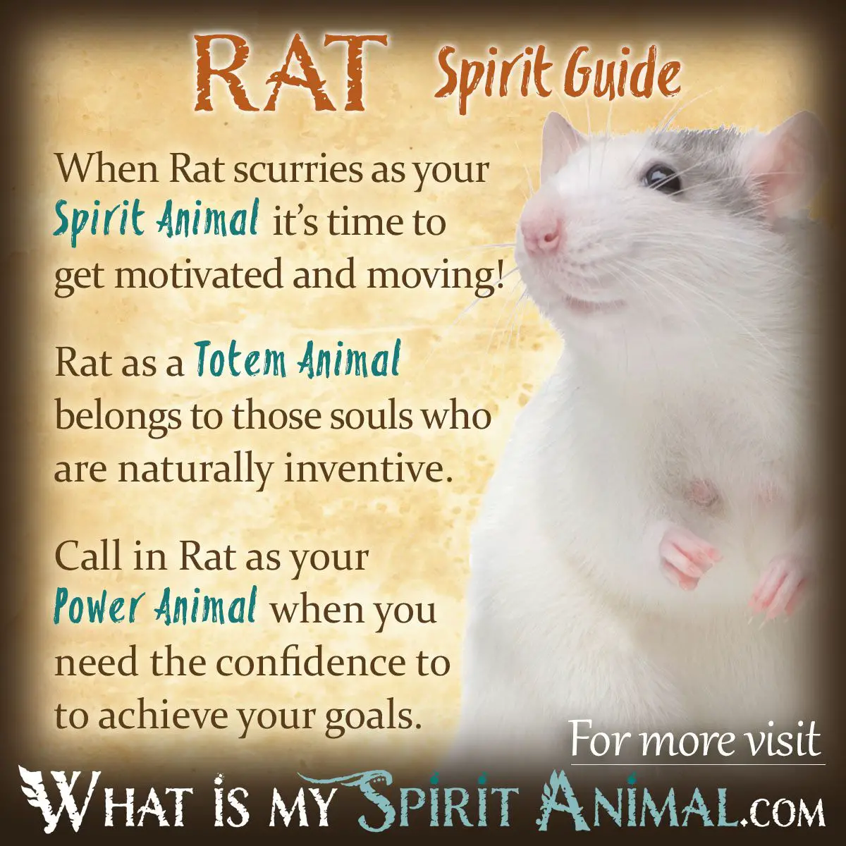 What Does A Rat Symbolize?
