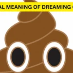 Uncovering the Spiritual Meaning of Poop Dreams