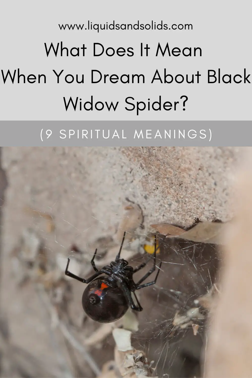 What Does It Mean To Dream Of A Black Widow?
