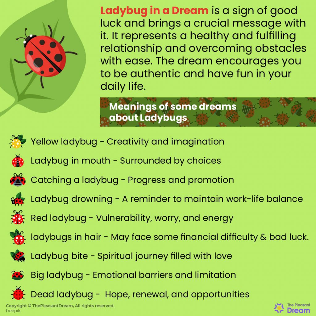 What Dreams About Ladybugs Mean