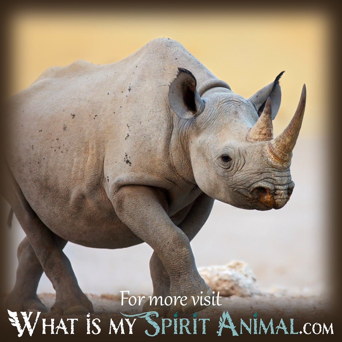 Rhino: Discover the Dreams and Spiritual Meaning Behind this Symbol