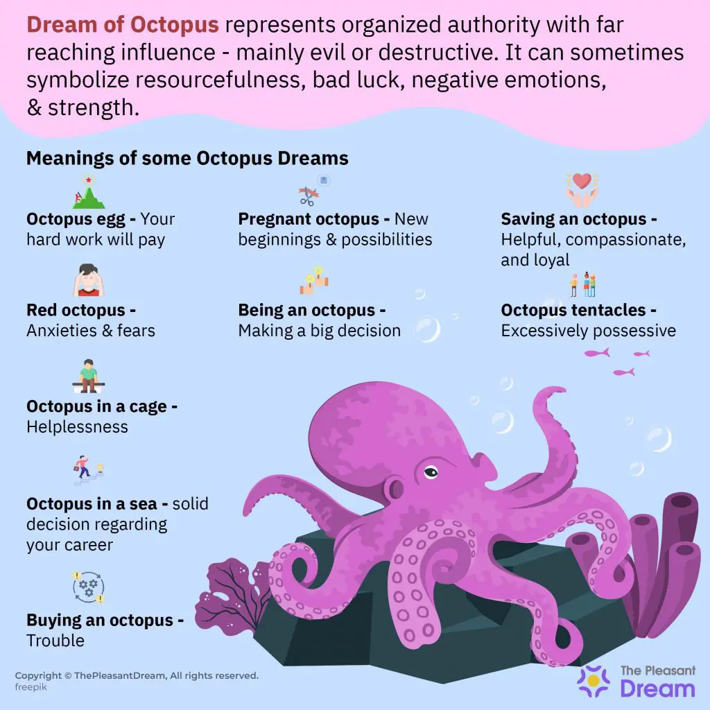 What Is The Meaning Of An Octopus In A Dream?