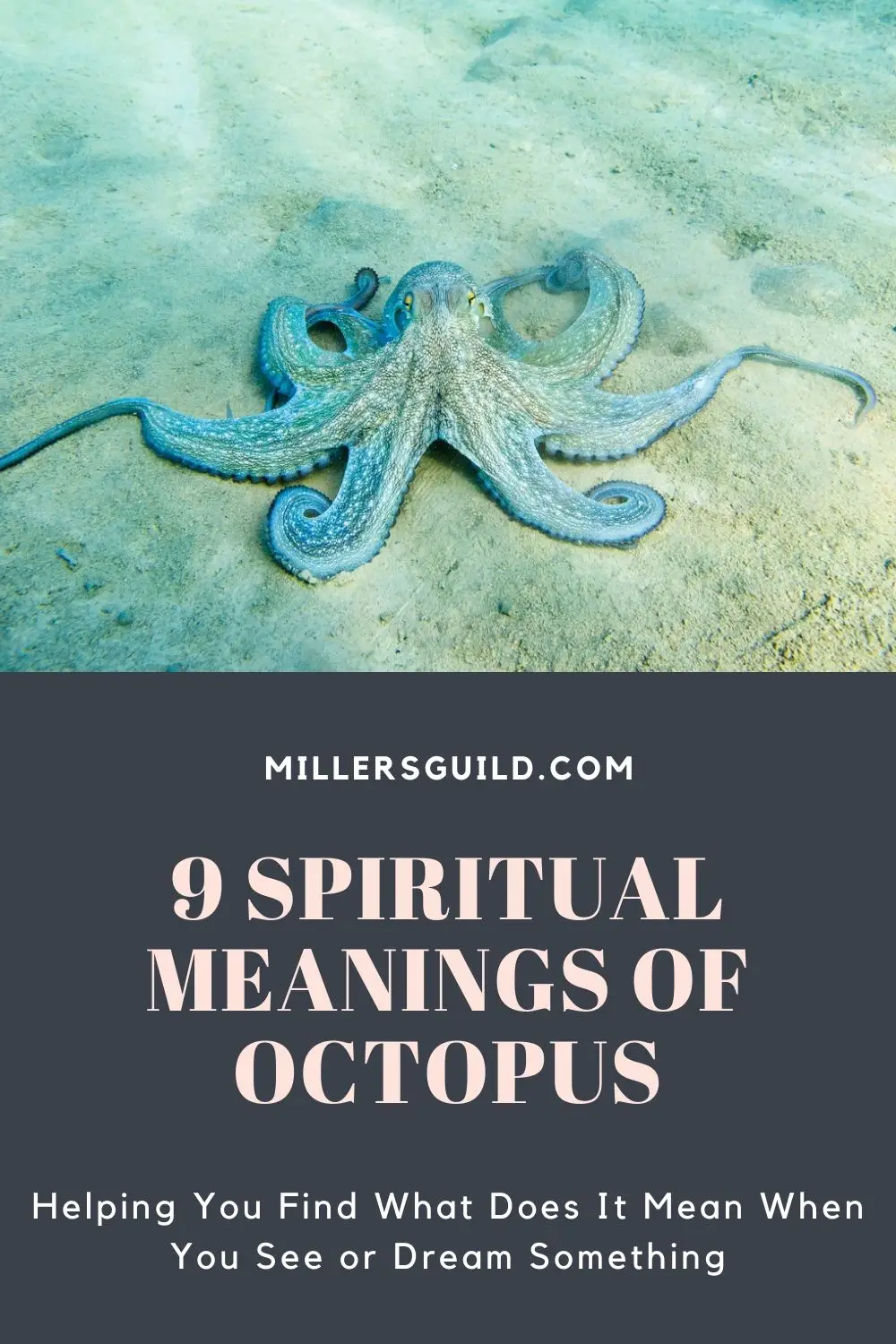 What Is The Spiritual Meaning Of An Octopus?