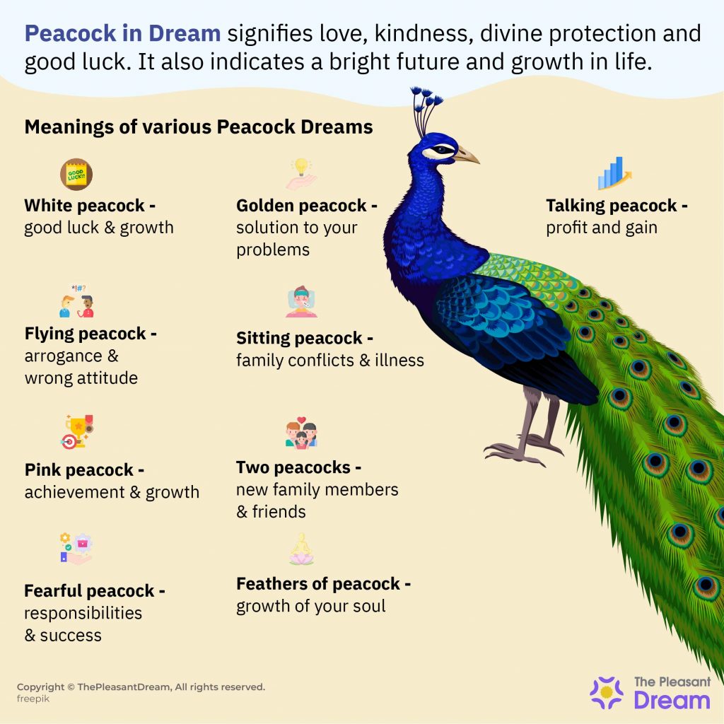 What Is The Spiritual Meaning Of Dreaming Of A Peacock?