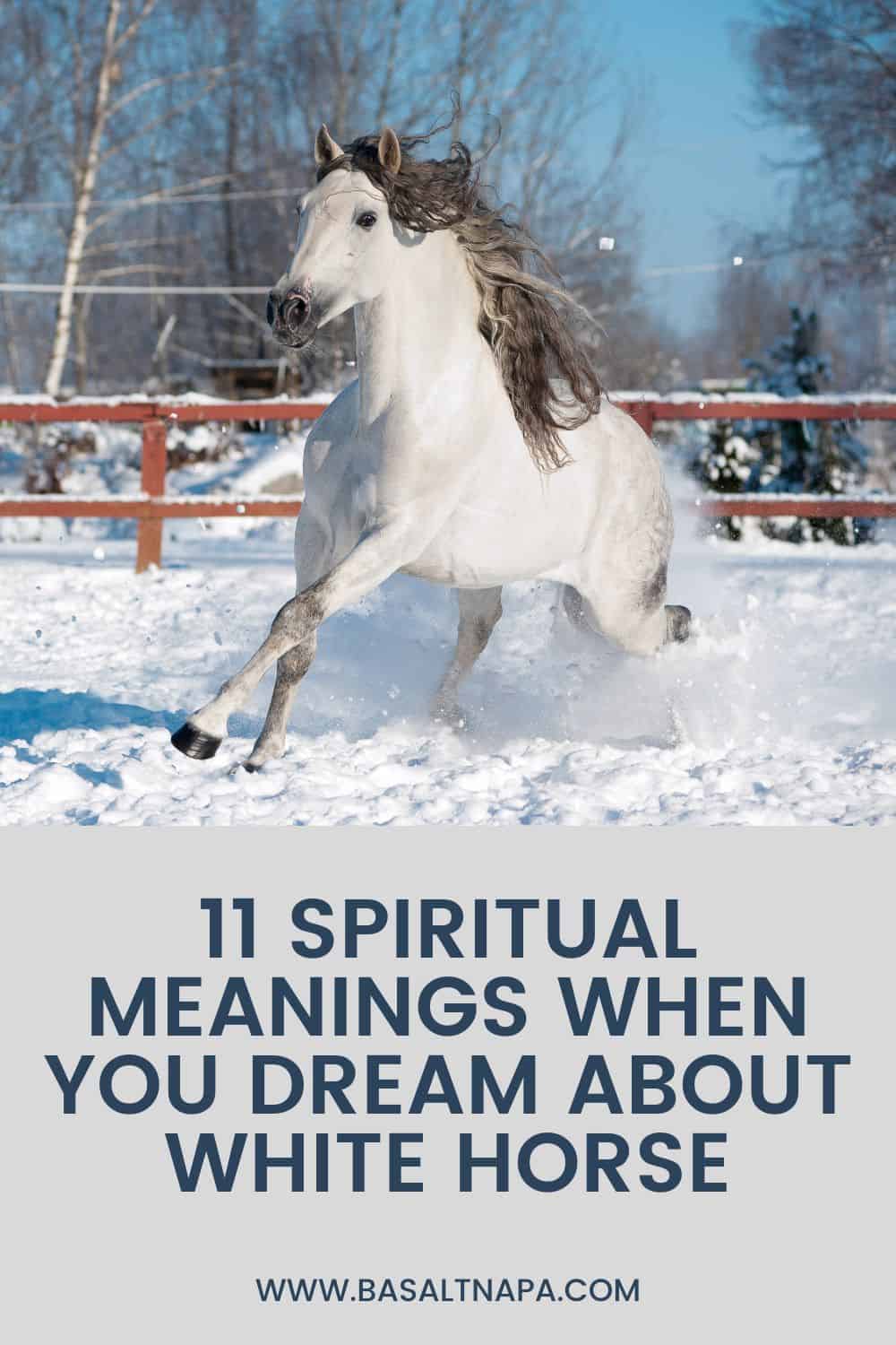 White Horse In Dreams: Positive Interpretation