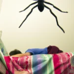 Uncover the Spiritual Meaning of Your Dream About a Big Black Spider