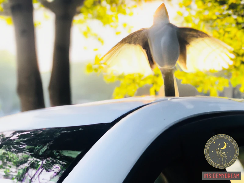 Bird Landing On Car Meaning Spiritual?