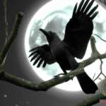 Unlock the Spiritual and Dream Meaning of Black Crows