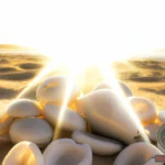 Desbloquee el significado espiritual y de los sueños de las conchas cauri