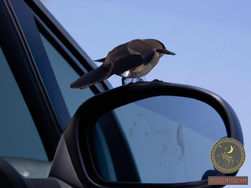 Mirror Meaning Of A Bird Landing On A Car