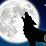 Uncover the Spiritual Meaning Behind Silver Wolf Dreams