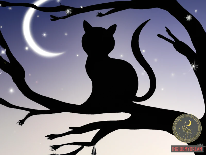 Spiritual Meaning Of Black Cats In Dreams