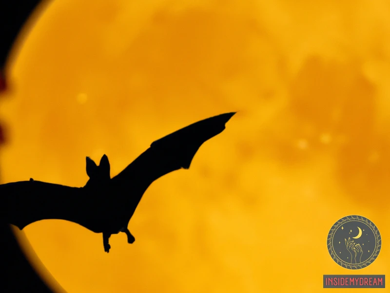 What Does It Mean To See A Bat Outside Your Home?